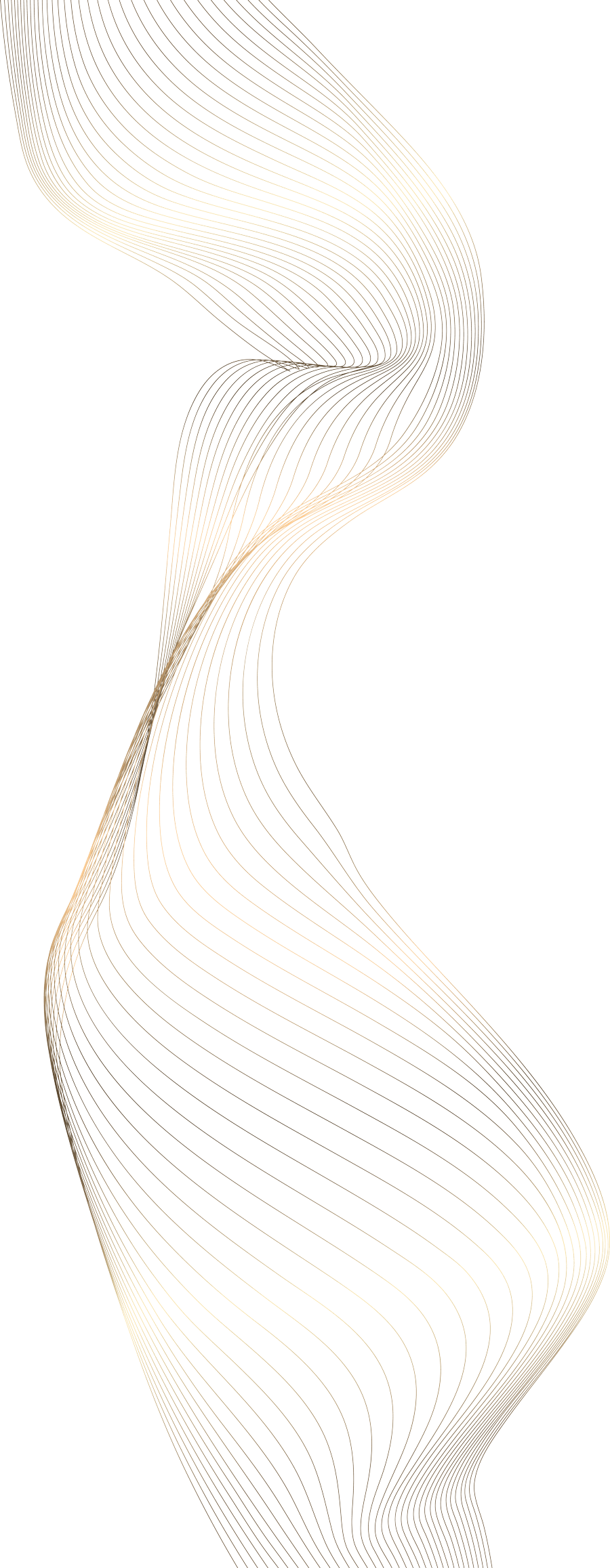 Das Team der Zahnarztpraxis in Düsseldorf